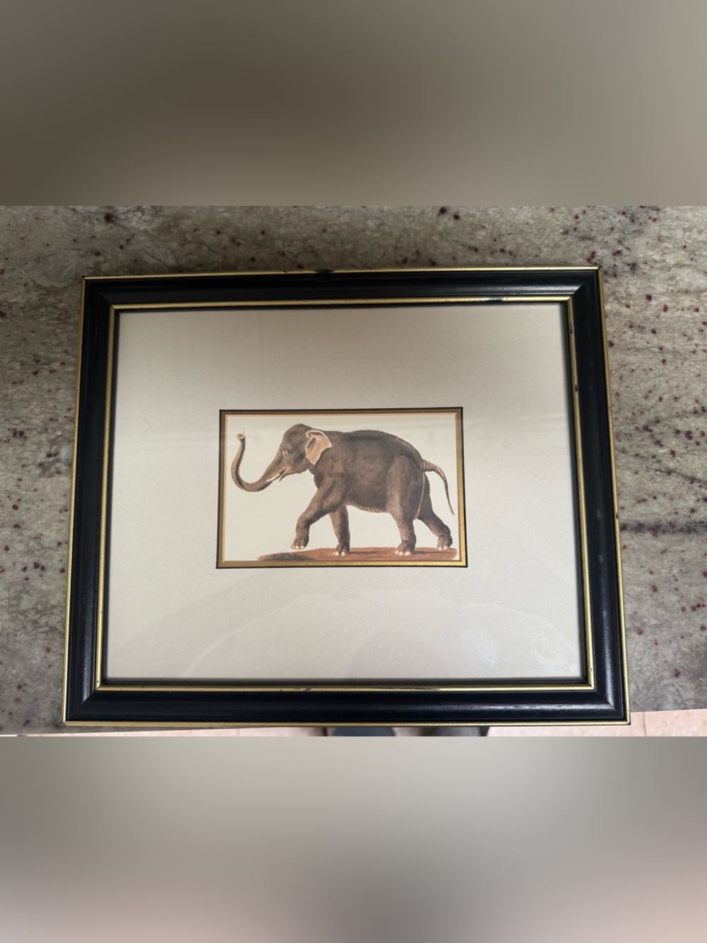 Framed Elephant Print in Black & Gold Frame